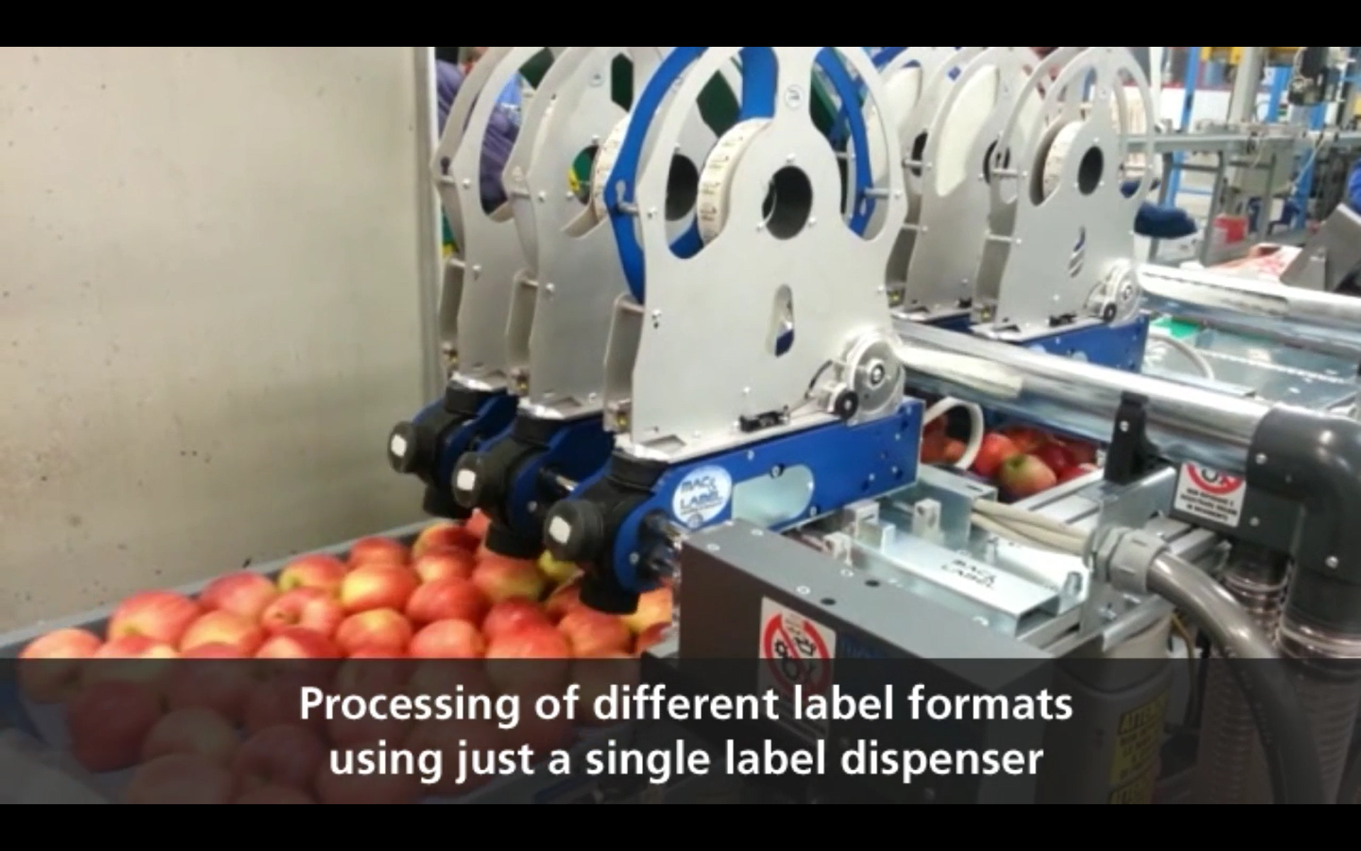 Fruit Label Machine